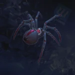 Cocon de croc-de-sang