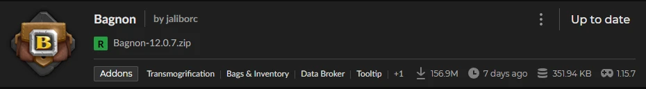 Addon Bagnon WoW Classic Era